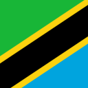 Tanzania Palscity Opportunities