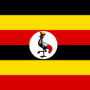 Uganda Palscity Opportunities