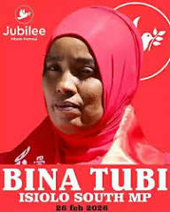 Bina Tubi Mohamed