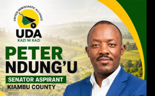 Hon. Peter Kibuku Ndung'u cover photo