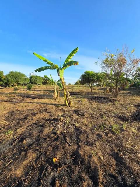 Kitui South
